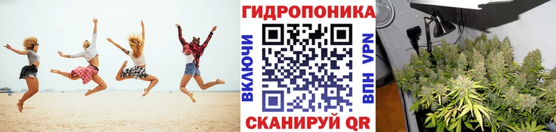 Купить Наро-Фоминск Бошки марихуана OG Kush